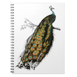 Caderno Espiral Ave indiana de pavão vintage