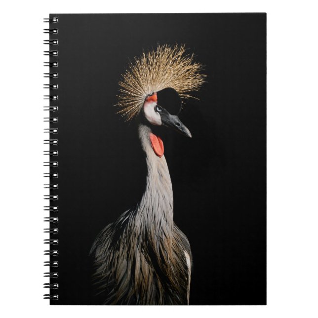 CADERNO ESPIRAL AVE NO BRASIL (Frente)
