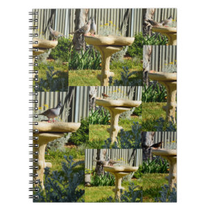 Caderno Espiral Aves Australianas Sobre Banho De Aves, Notebook