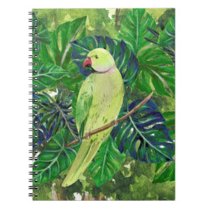 Caderno Espiral aves, papagaios