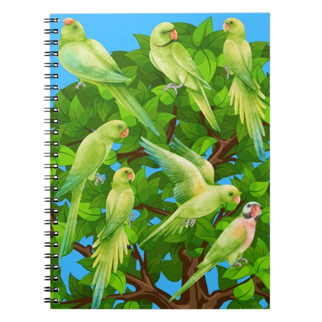 Caderno Espiral aves, papagaios (Frente)