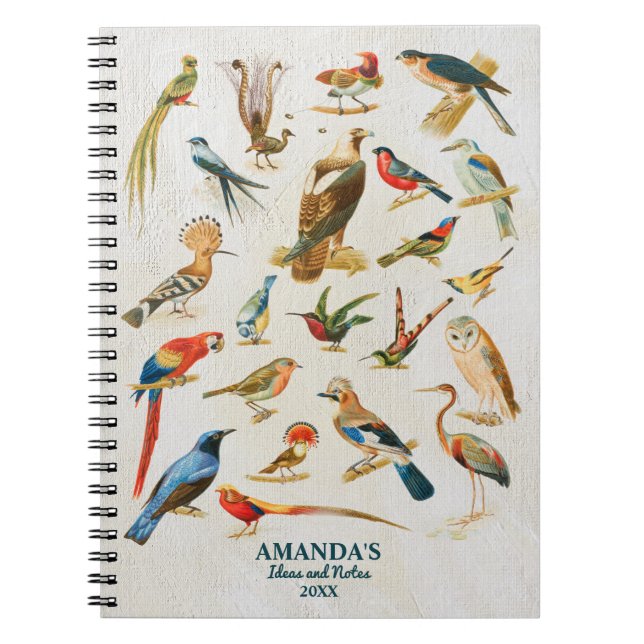Caderno Espiral Aves Vintage Ilustração Dons De Sobrevivência (Frente)