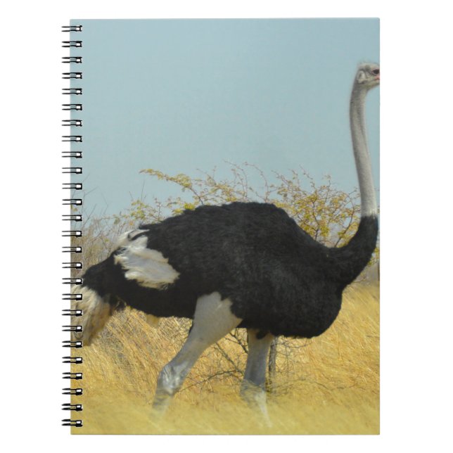 Caderno Espiral Avestruz correndo (Frente)