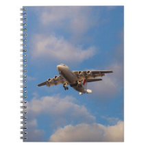 Avro RJ85 Jet pousando