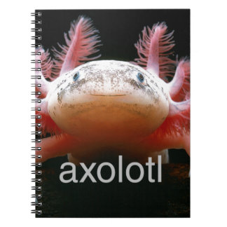 Caderno Espiral Axolotl do Axolotl do Axolotl do Axolotl