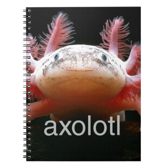 Caderno Espiral Axolotl do Axolotl do Axolotl do Axolotl (Frente)