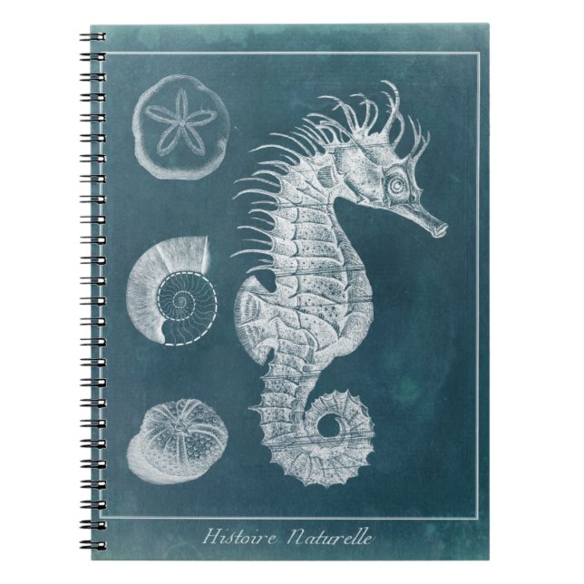 Caderno Espiral Azure Seacavalo Study I (Frente)