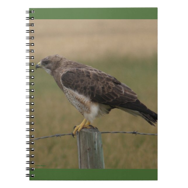 Caderno Espiral B10 Falcão-de-swainson (Frente)