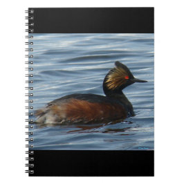 Caderno Espiral B13 Eared Grebe