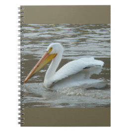 Caderno Espiral B14 Pelicano Branco sobre o Rio Muddy