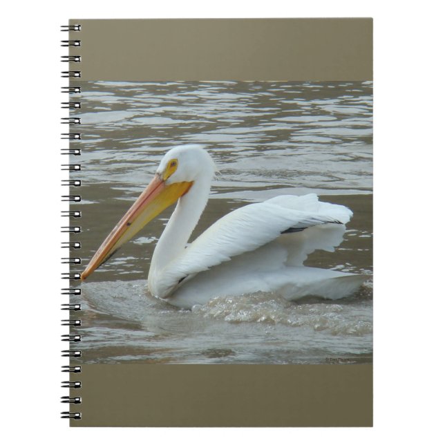 Caderno Espiral B14 Pelicano Branco sobre o Rio Muddy (Frente)
