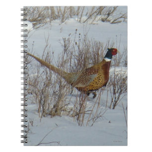 Caderno Espiral B23 Faisão-de-pescoço-anilado na Neve