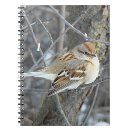 Caderno Espiral B24 Cebolinha comum