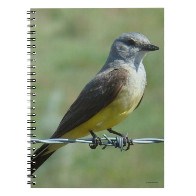 Caderno Espiral B31 Tirano-bravo-ocidental (Frente)