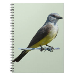Caderno Espiral B45 Western Kingbird