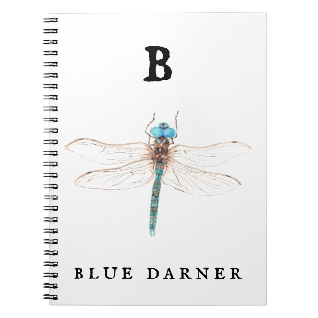 Caderno Espiral "B" Blue Darner (Frente)