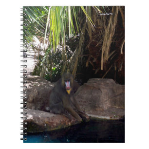 Caderno Espiral Baboon No Paraíso, Notebook
