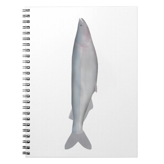 Caderno Espiral Baboso (Frente)