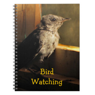 Caderno Espiral Baby Catbird