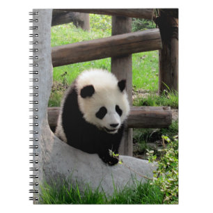 Caderno Espiral Baby Panda