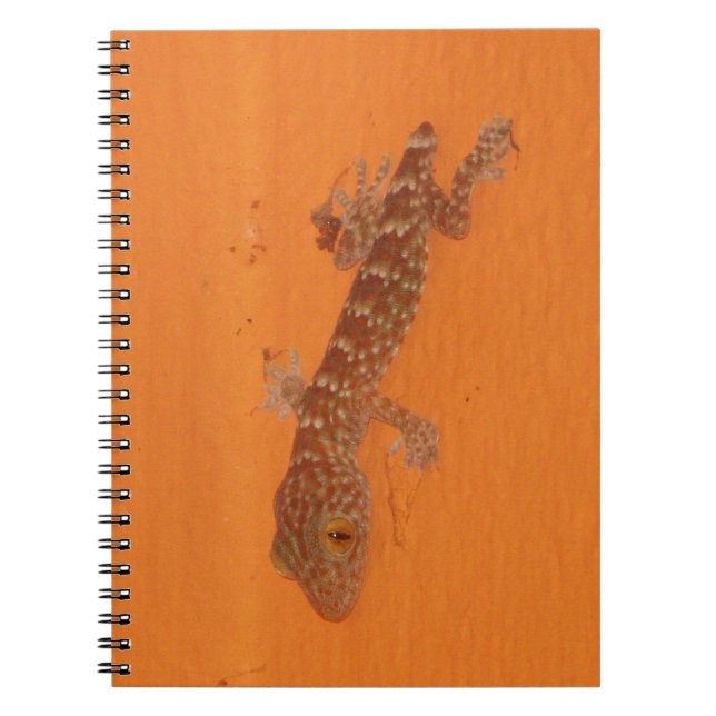 Caderno Espiral Baby Tokay Gecko (Frente)