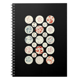 Caderno Espiral bactéria engraçada microbiologia bactéria ciên
