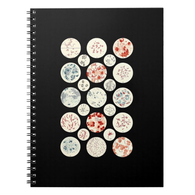 Caderno Espiral bactéria engraçada microbiologia bactéria ciência  (Frente)