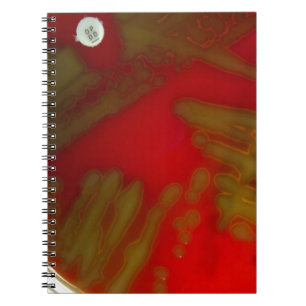 Caderno Espiral Bactérias de Penumonia