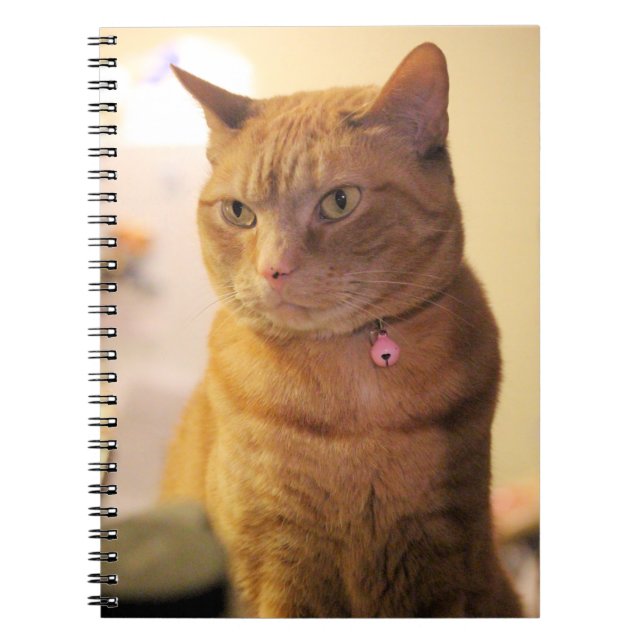 Caderno Espiral Bag Cat Drastring (Frente)