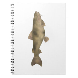 Caderno Espiral Bagre-sapo