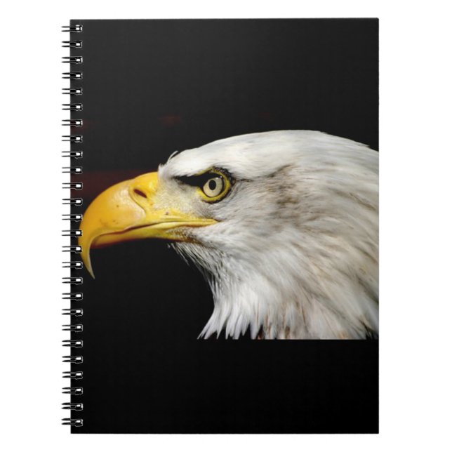 Caderno Espiral Bald Eagle (Frente)