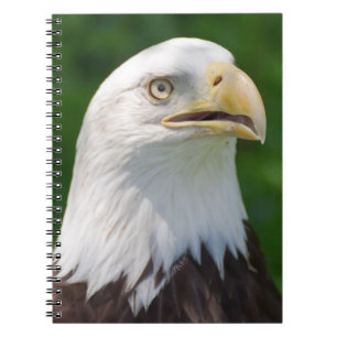 Caderno Espiral Bald Eagle