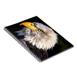 Caderno Espiral Bald Eagle