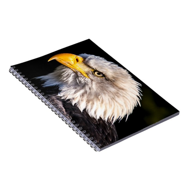 Caderno Espiral Bald Eagle (Lado Direito)
