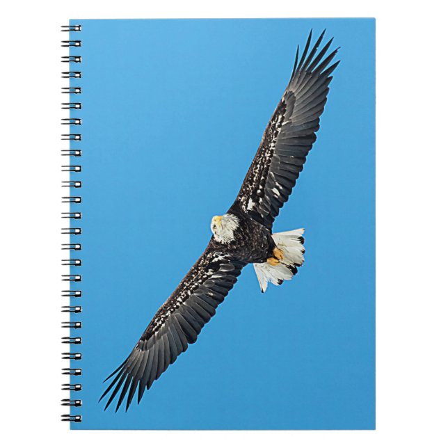 Caderno Espiral Bald Eagle em voo (Frente)