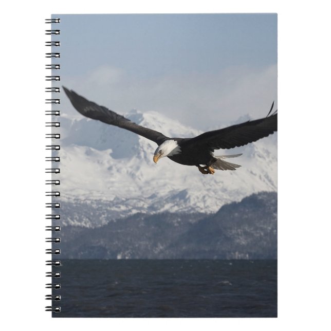 Caderno Espiral Bald Eagle em Voo, Haliaeetus leucocephalus, (Frente)