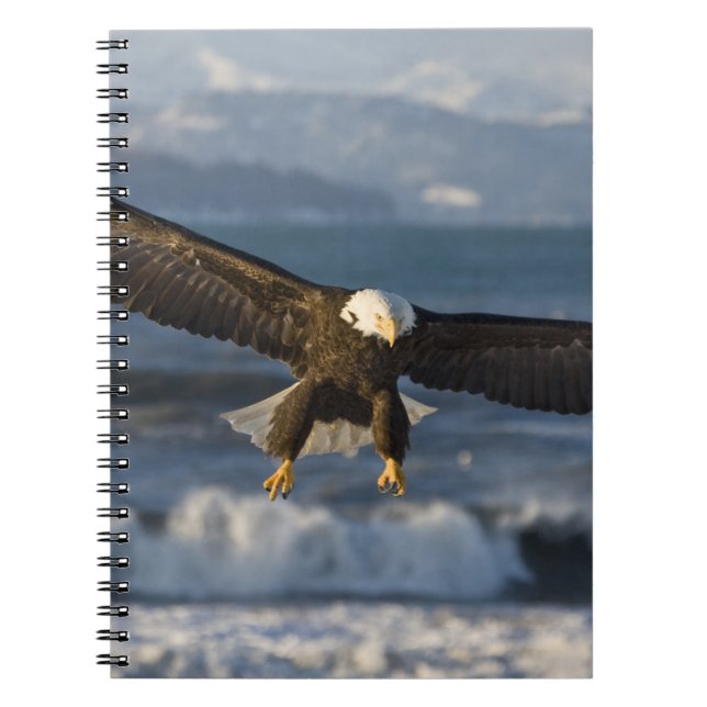 Caderno Espiral Bald Eagle, Haliaeetus leucocephalus, Homer, 3 (Frente)