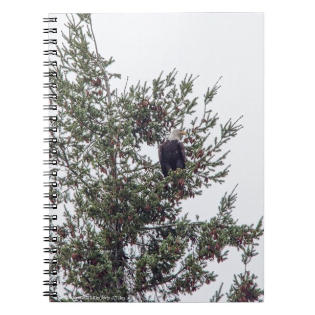 Caderno Espiral Bald Eagle P2825 (Frente)