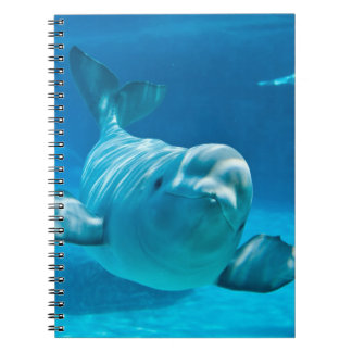 Caderno Espiral Baleia da beluga