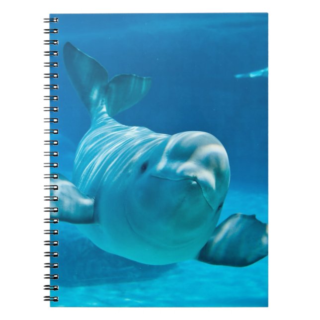 Caderno Espiral Baleia da beluga (Frente)