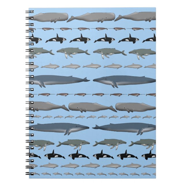 Caderno Espiral Baleias (Frente)