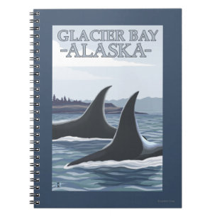 Caderno Espiral Baleias #1 da orca - baía de geleira, Alaska
