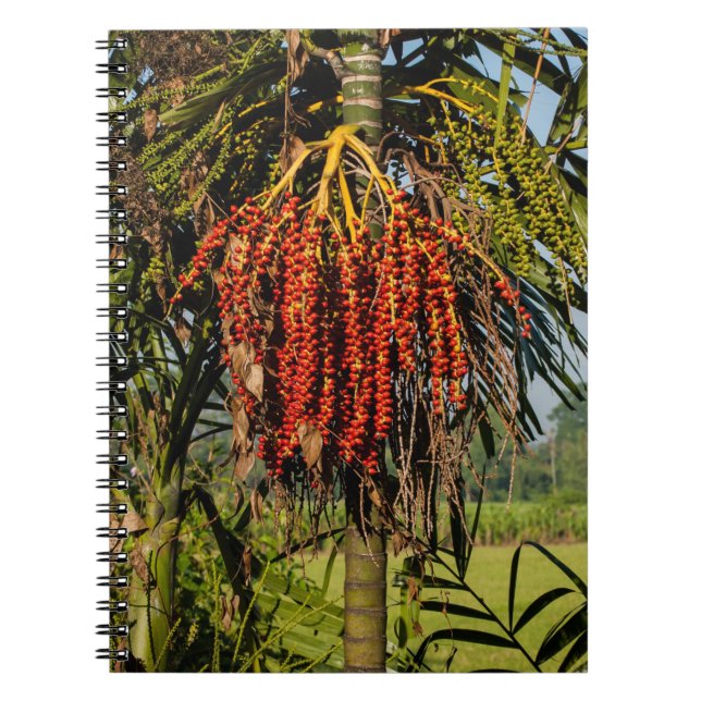 Caderno Espiral Bali Palm Fruit Rice Field Notebook (Frente)