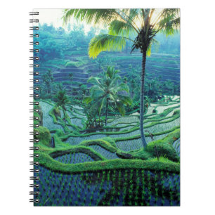 Caderno Espiral Bali   Panorâmica Dos Terraços De Arroz