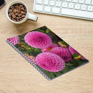 Caderno Espiral Ball Dahlias Floral Rosa