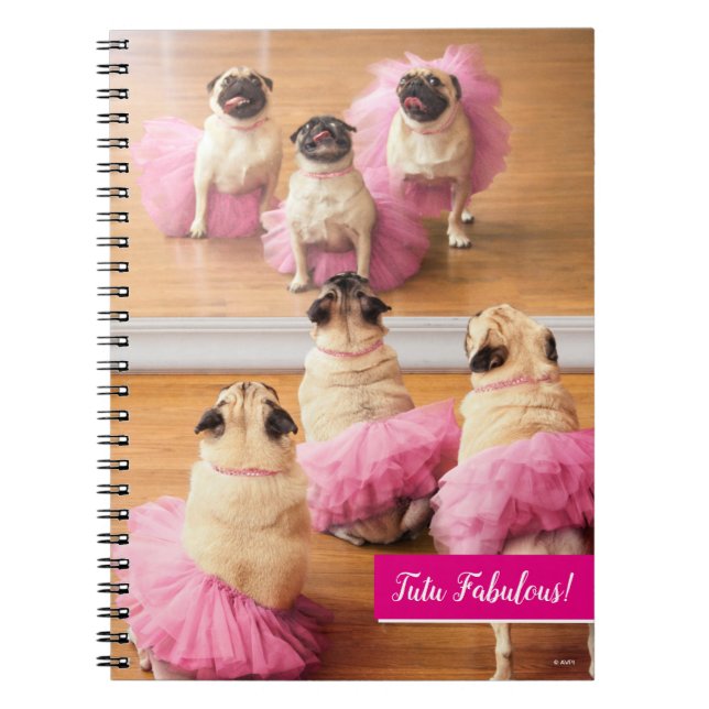 Caderno Espiral Ballerina Pugs Em Tutus (Frente)