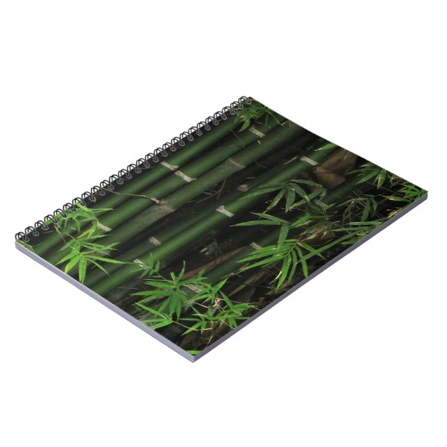 Caderno Espiral Bambu... Fao Rai, Nong Khai, Isaan, Tailândia (Left Side)