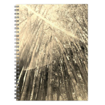 Bambu no notebook Sepia