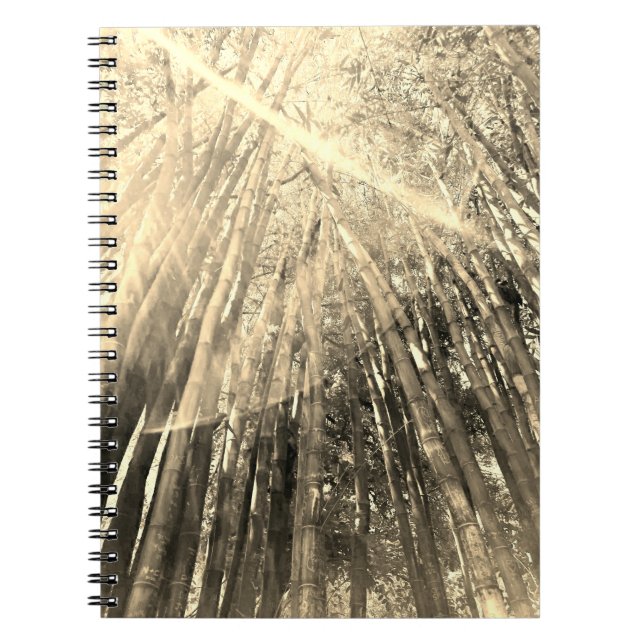 Caderno Espiral Bambu no notebook Sepia (Frente)