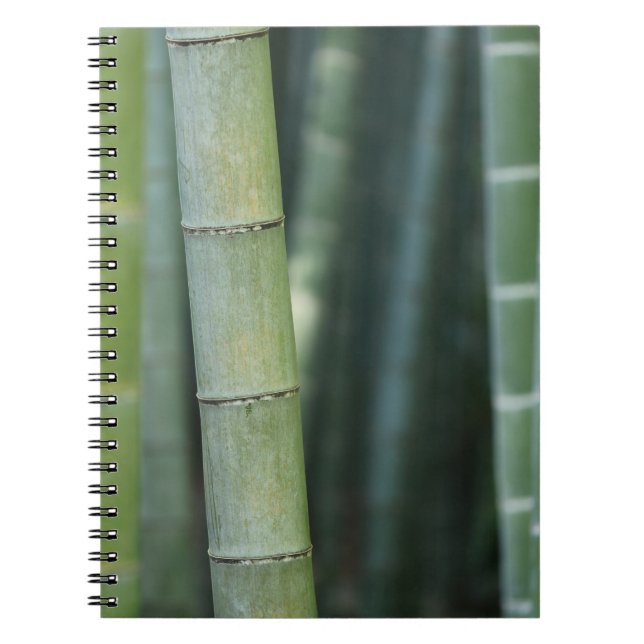 Caderno Espiral Bambu verde (Frente)